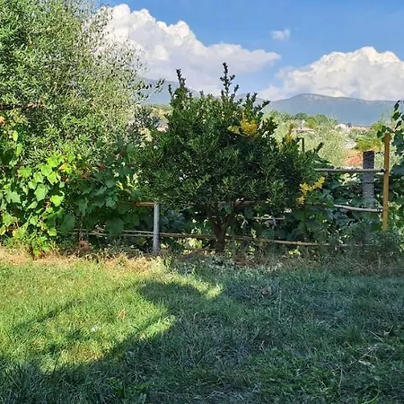 Tirana'S Countryside Gem * 티라나