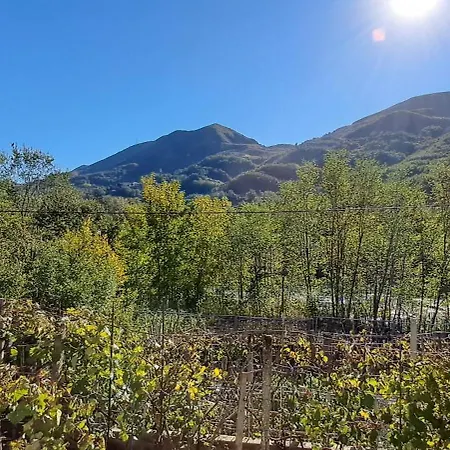 公寓 Tirana'S Countryside Gem 地拉那