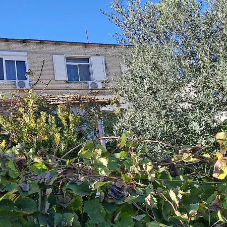 Tirana'S Countryside Gem 티라나